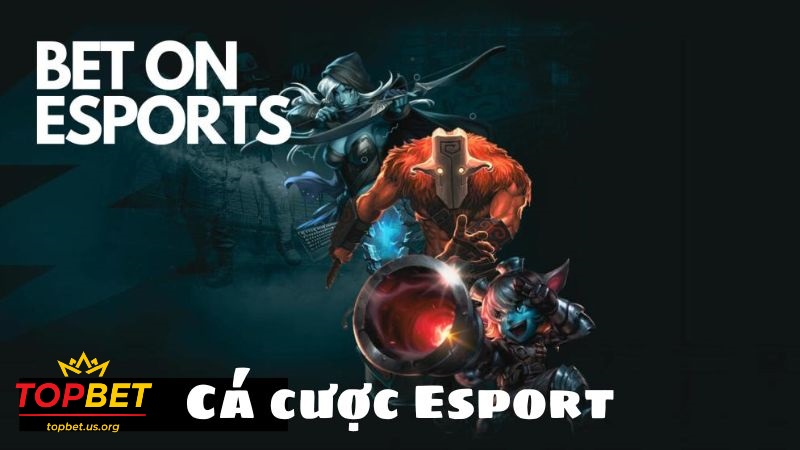 Hướng dẫn đăng ký tài khoản E-sports Topbet chi tiết nhất